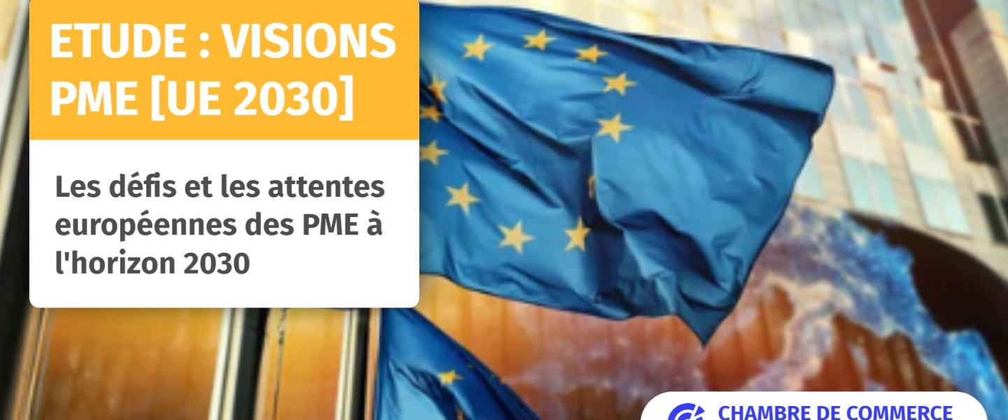 Pastille réseaux sociaux - Etude Visions PME UE 2030