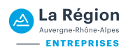 logo ARAE